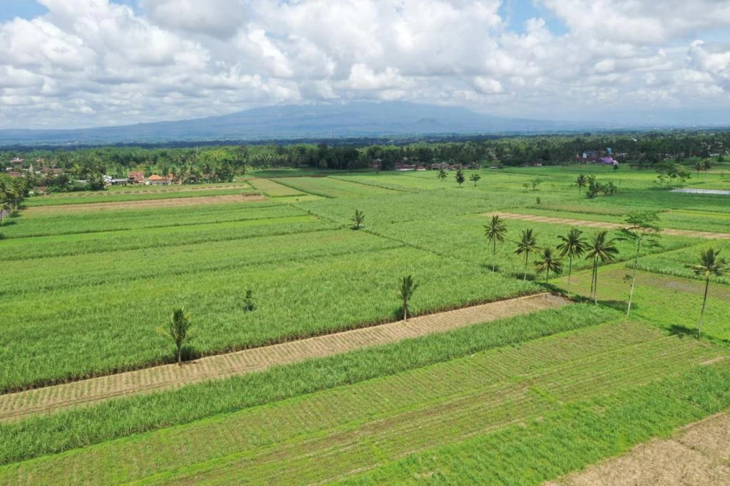 PT RMI SAMBUT ADANYA SOSIALISASI DAN EDUKASI HUKUM SOAL ALIH FUNGSI LAHAN OLEH PERHUTANI